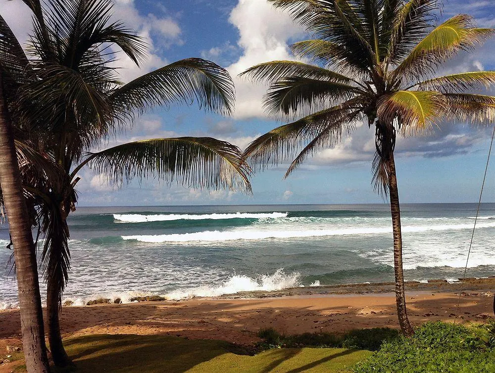Eco Lifestyle And Lodge Bathsheba Hotel
