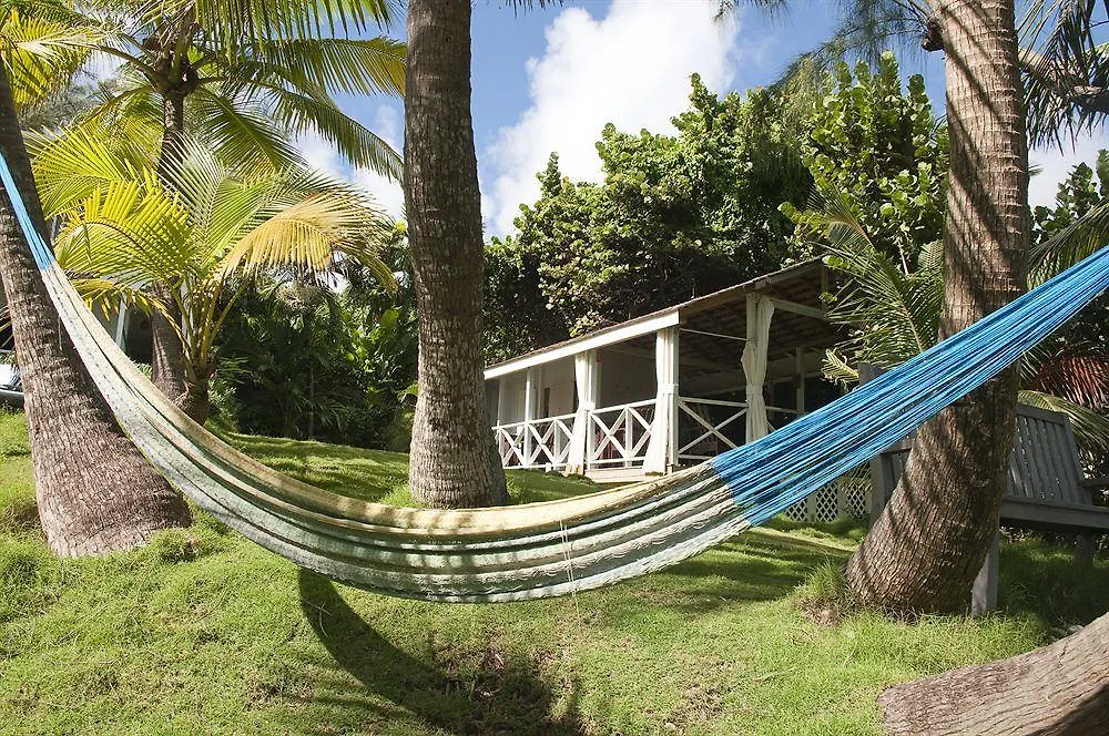 Hotel Eco Lifestyle And Lodge Bathsheba