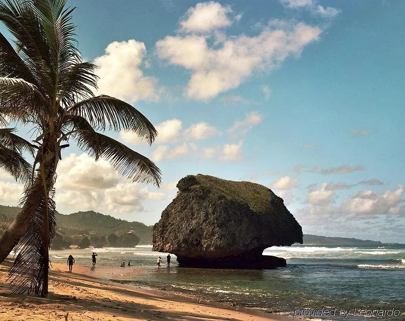 ** Hotel Eco Lifestyle And Lodge Bathsheba Barbados