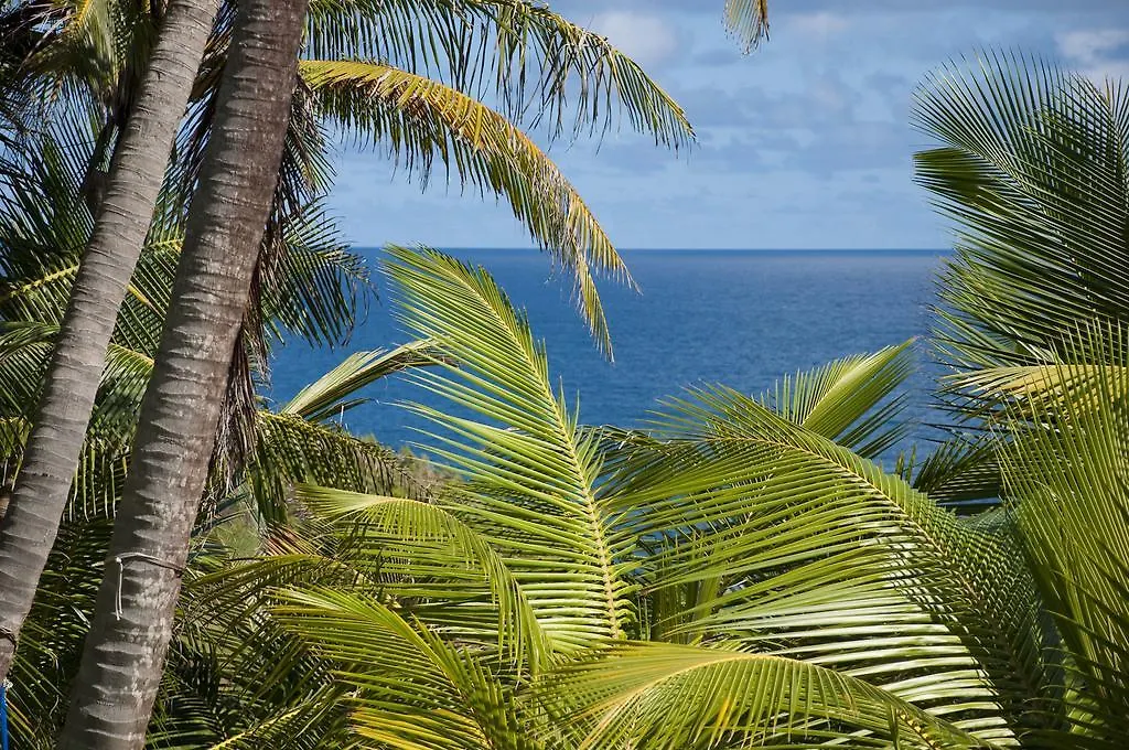 Eco Lifestyle And Lodge Bathsheba Hotel