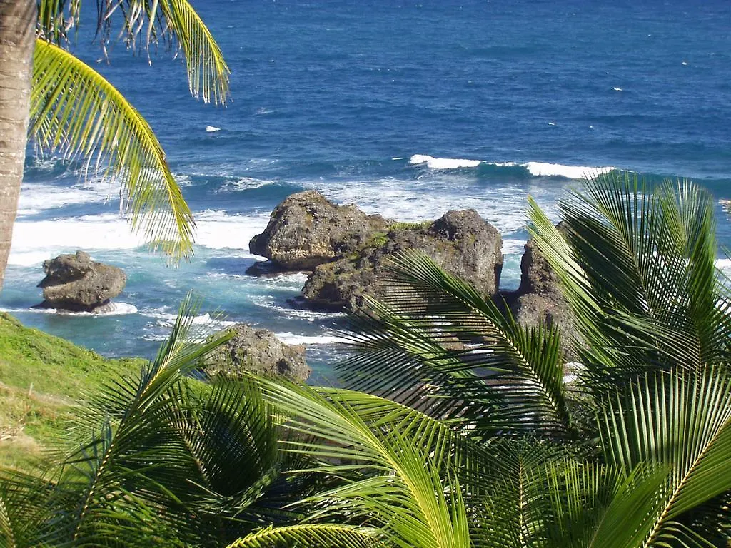 Hotel Eco Lifestyle And Lodge Bathsheba