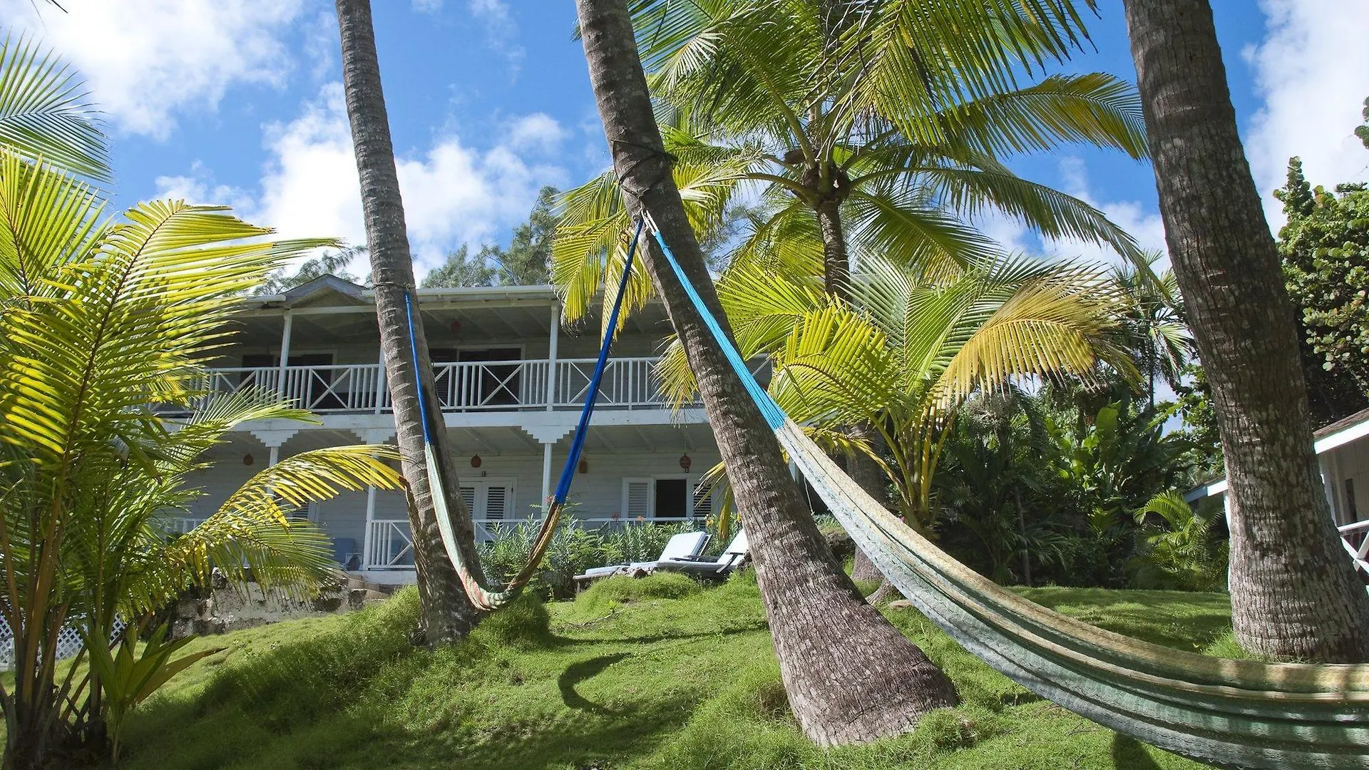 Eco Lifestyle And Lodge Bathsheba Hotel