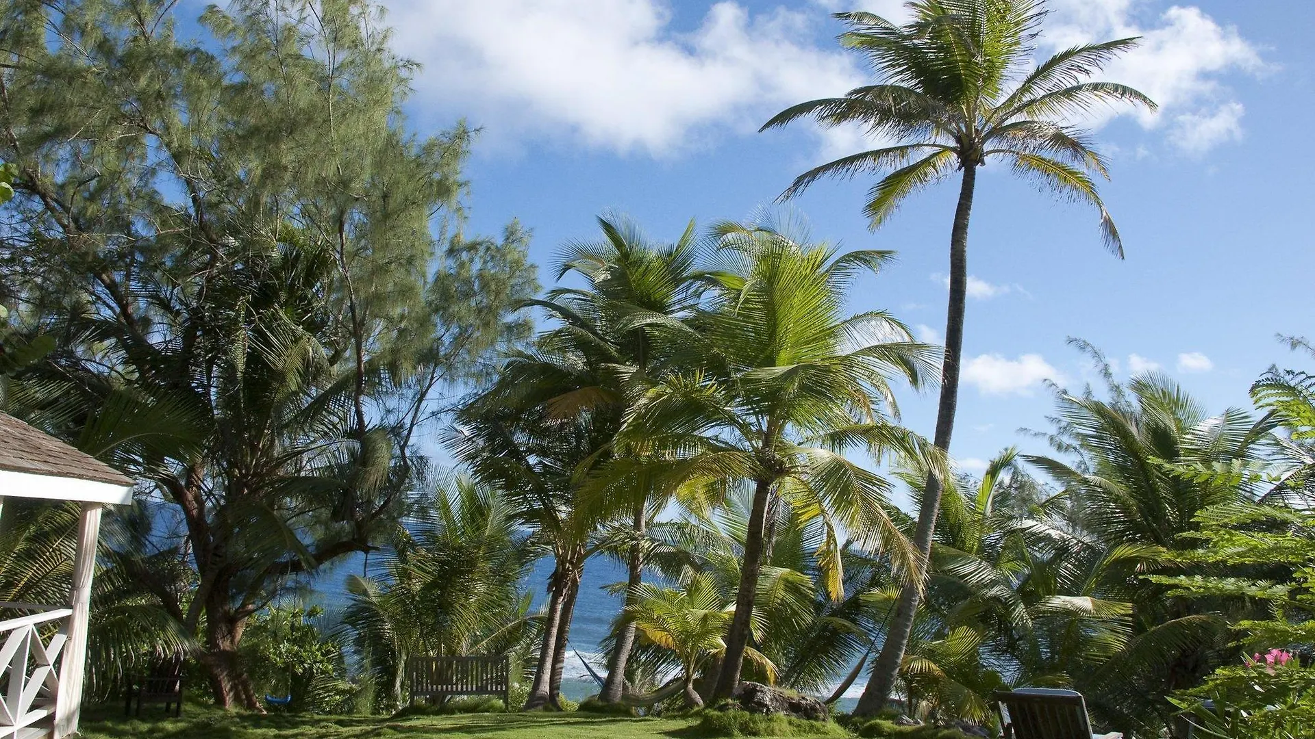 ** Hotel Eco Lifestyle And Lodge Bathsheba Barbados