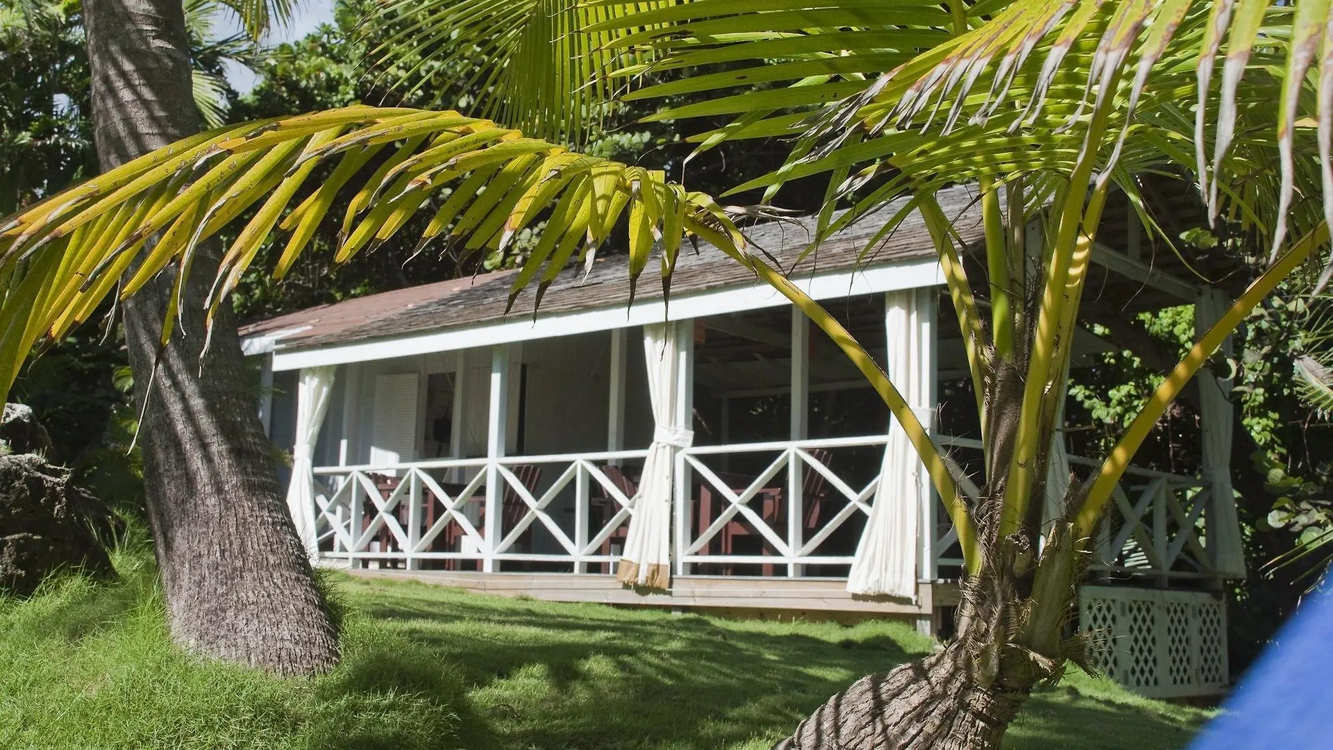 Eco Lifestyle And Lodge Bathsheba