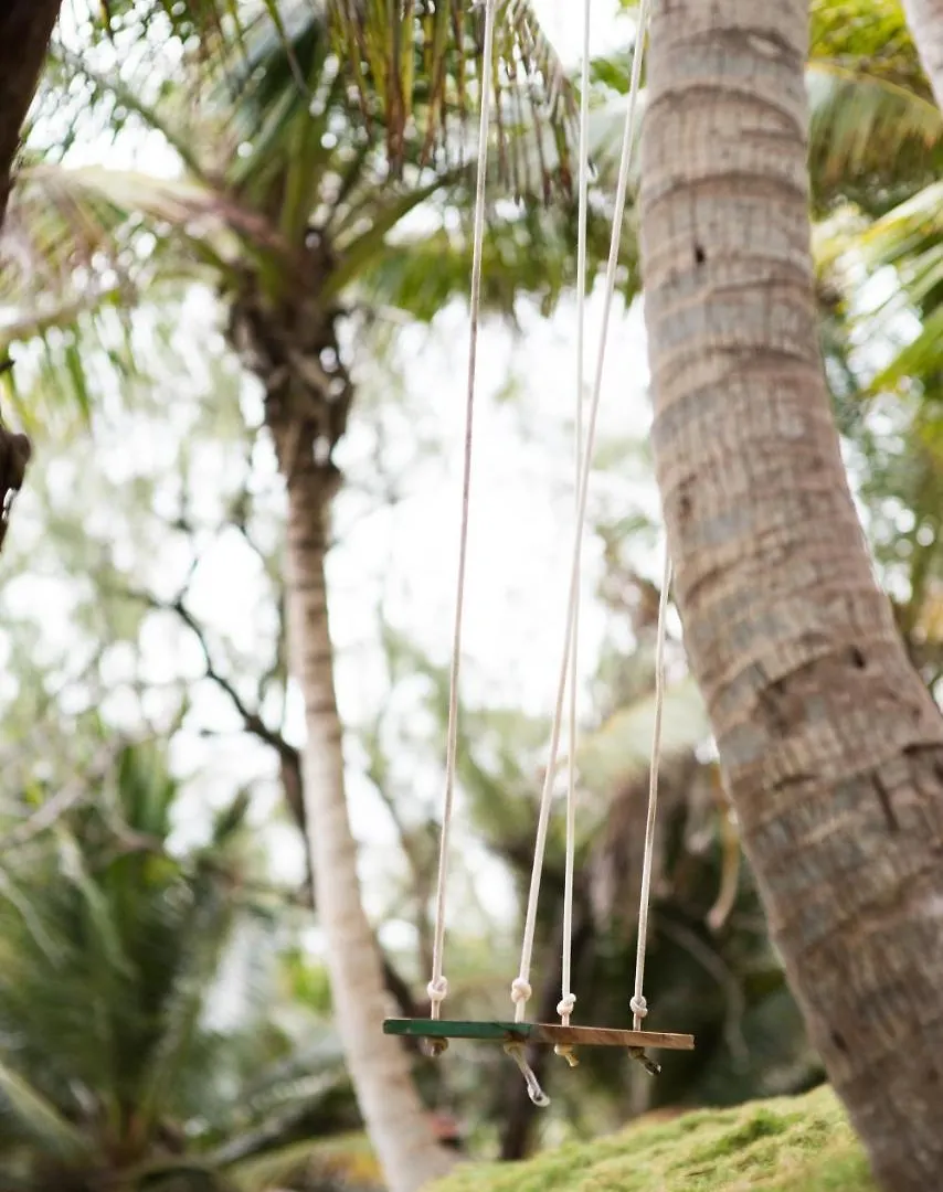 Eco Lifestyle And Lodge Bathsheba Hotel
