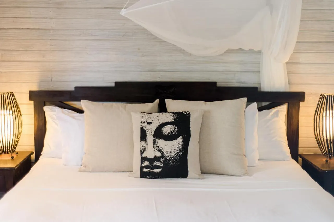 Eco Lifestyle And Lodge Bathsheba Hotel