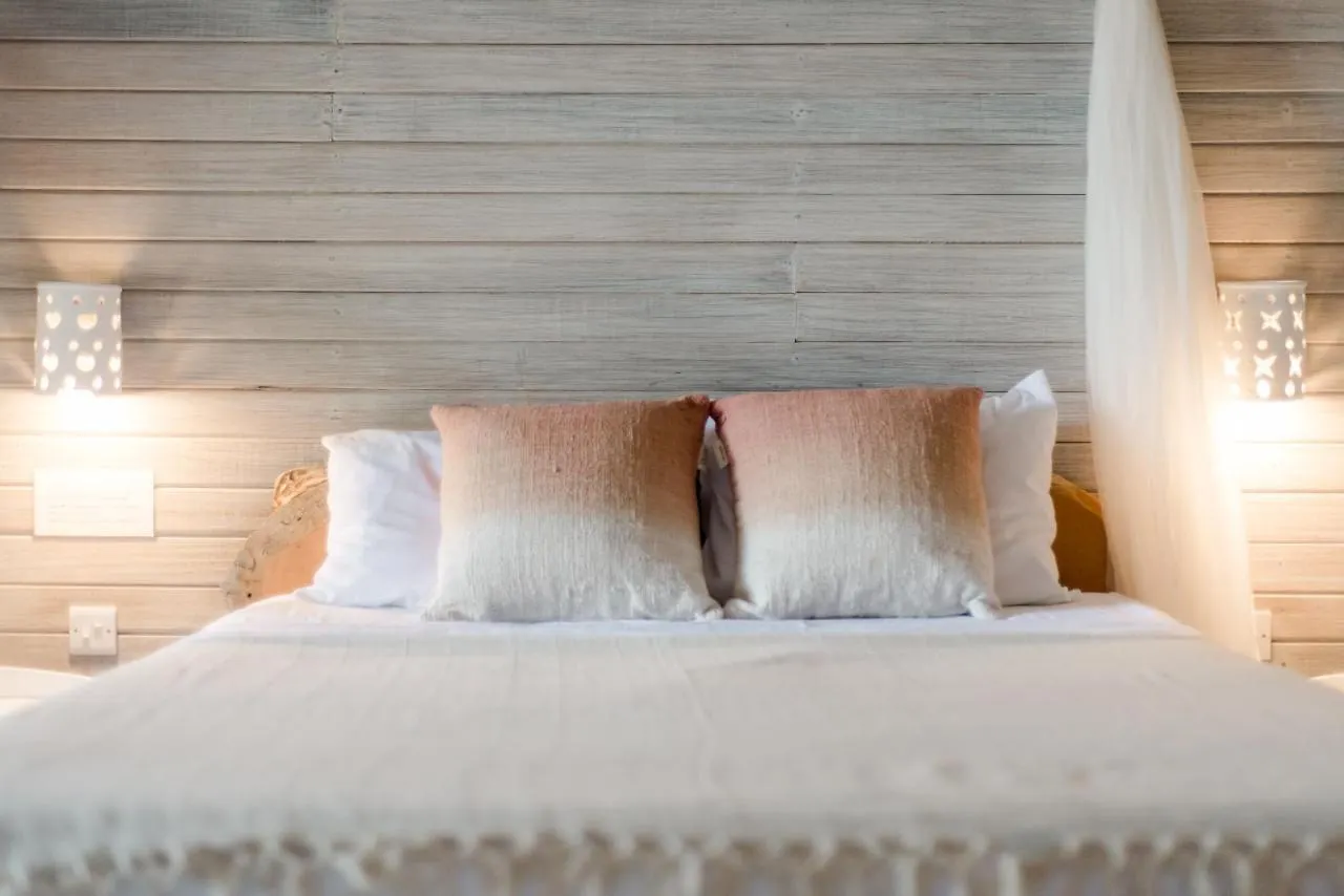 Eco Lifestyle And Lodge Bathsheba