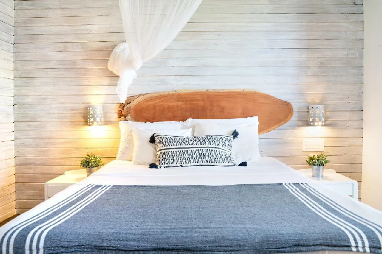 Eco Lifestyle And Lodge Bathsheba