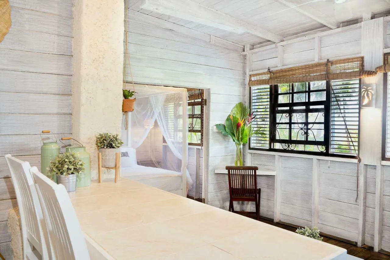 Eco Lifestyle And Lodge Bathsheba