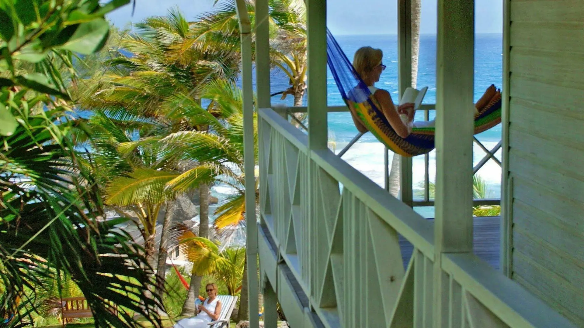 Eco Lifestyle And Lodge Bathsheba