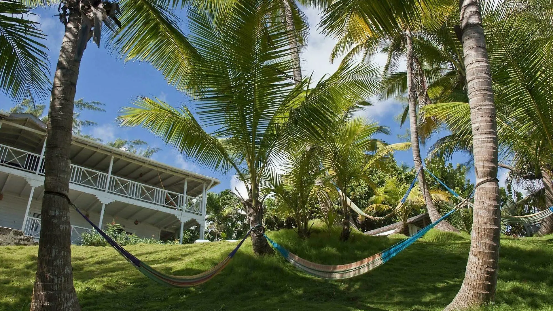 Eco Lifestyle And Lodge Bathsheba Barbados