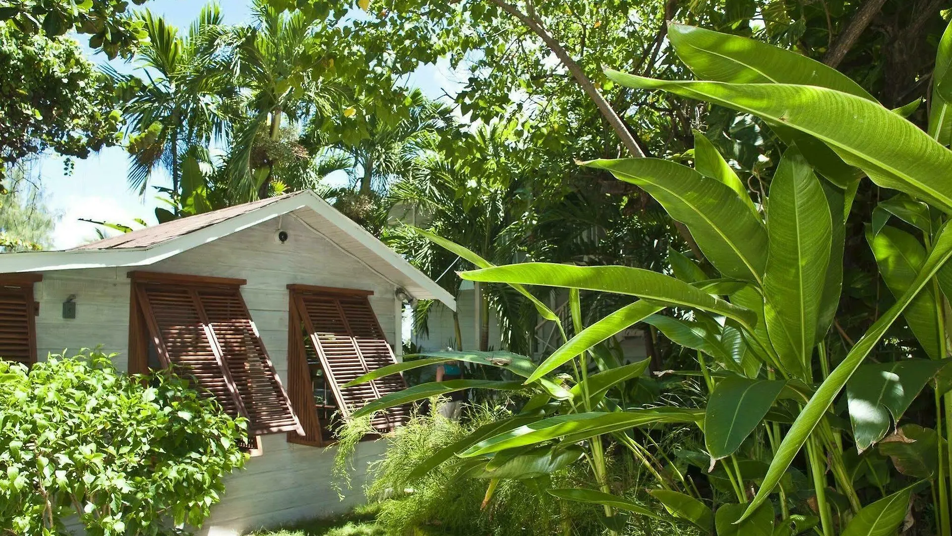 Eco Lifestyle And Lodge Bathsheba 2*,  Barbados