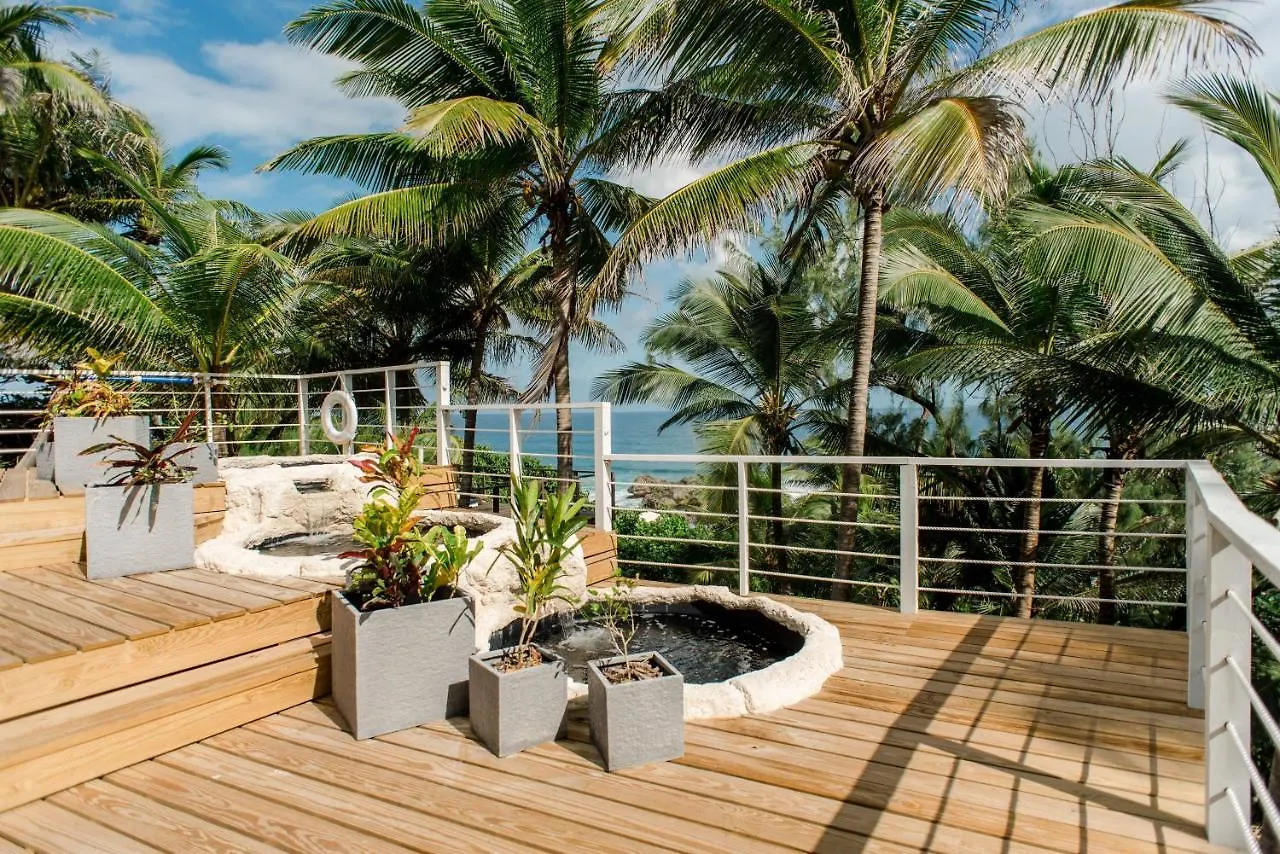 Eco Lifestyle And Lodge Bathsheba