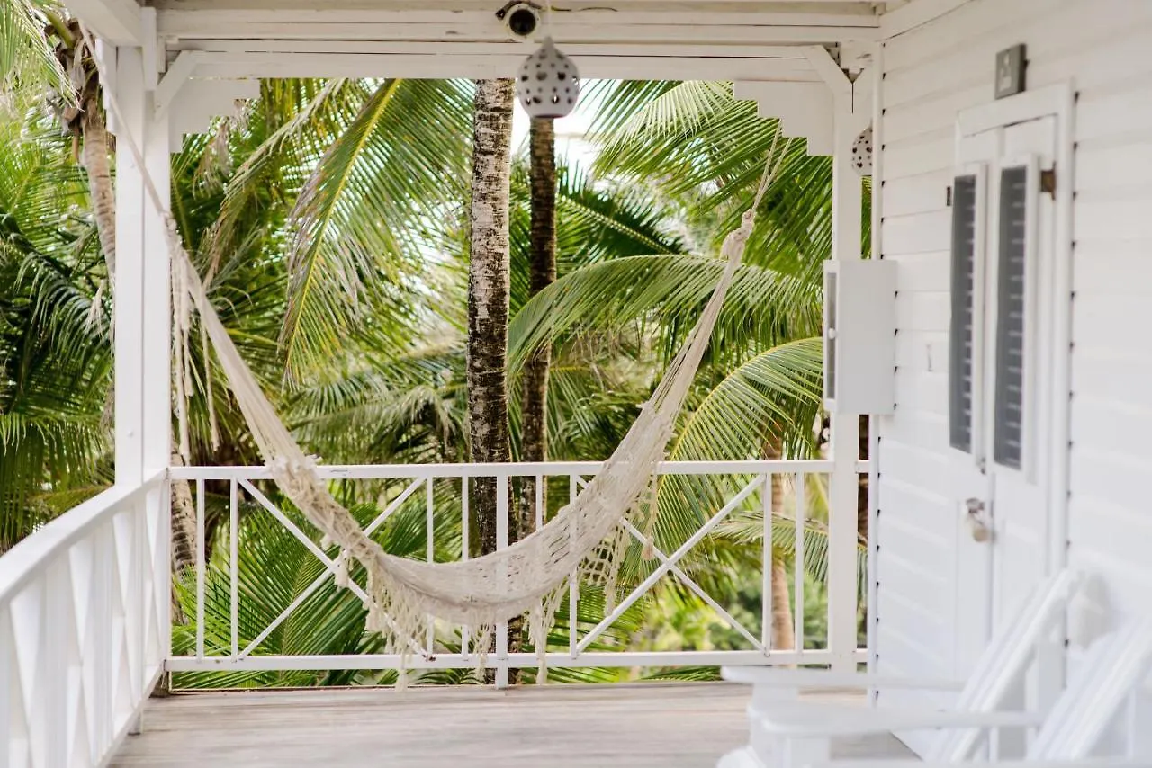 Eco Lifestyle And Lodge Bathsheba Barbados