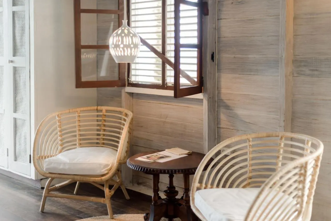 Eco Lifestyle And Lodge Bathsheba