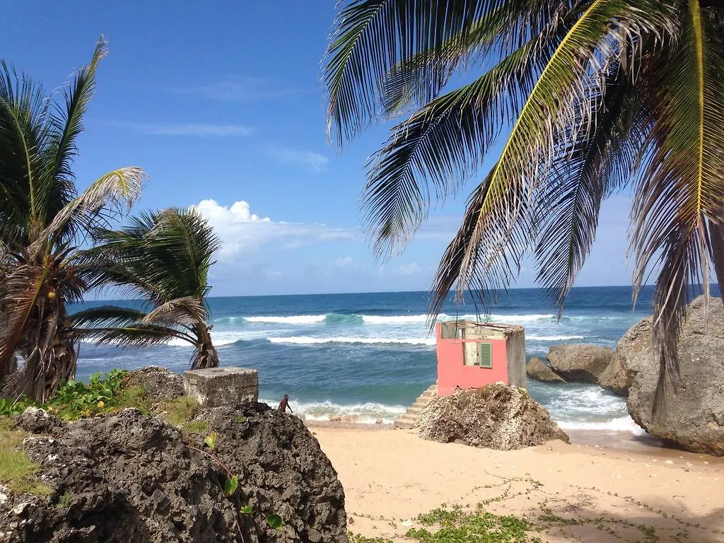 Eco Lifestyle And Lodge Bathsheba バルバドス