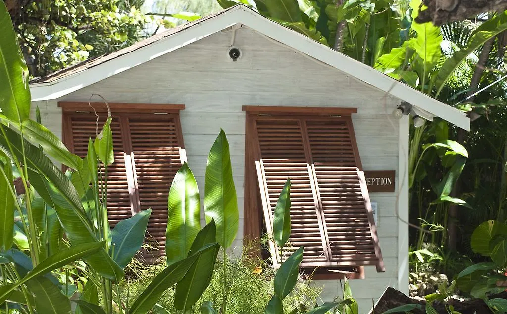 Eco Lifestyle And Lodge Bathsheba