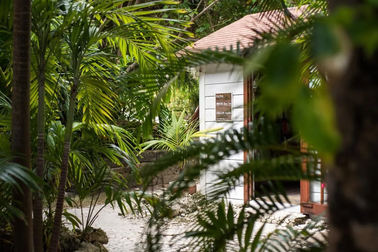 Eco Lifestyle And Lodge Bathsheba