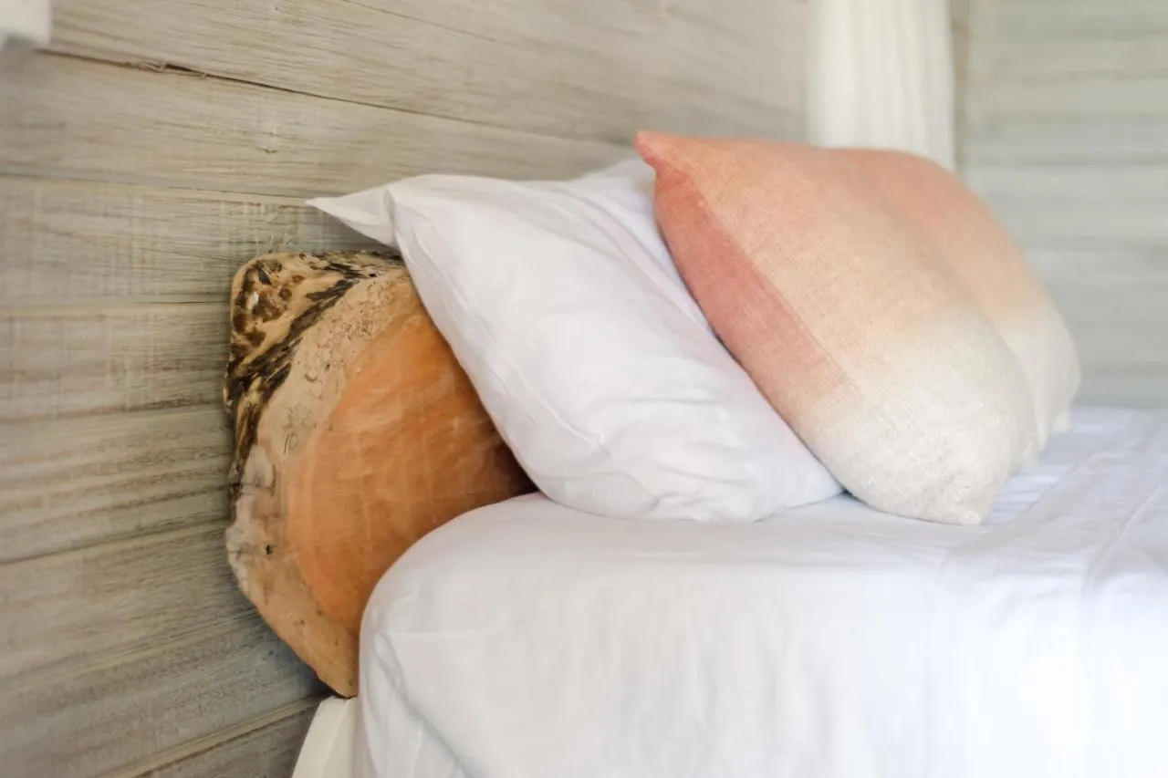 Eco Lifestyle And Lodge Bathsheba ホテル