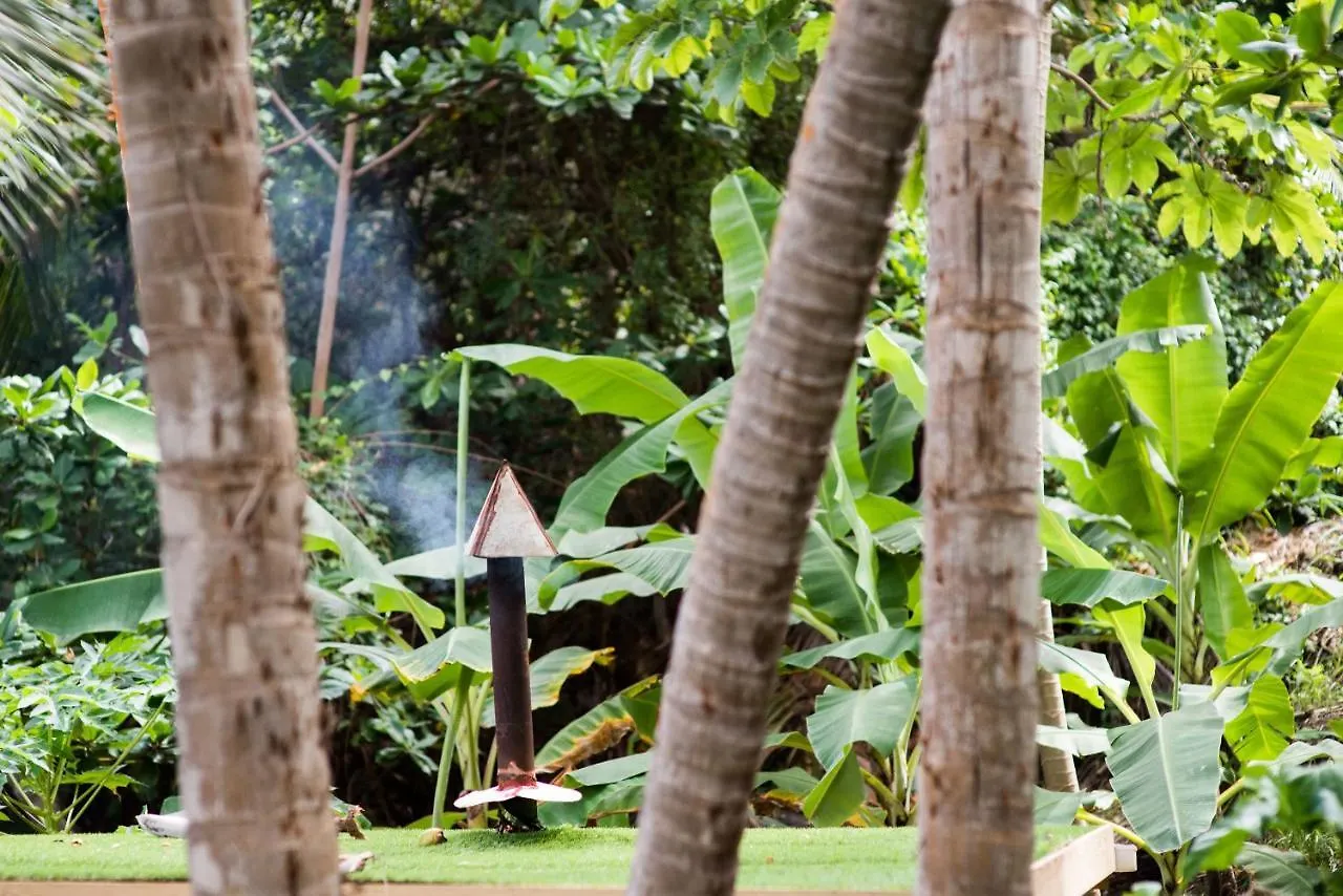 Eco Lifestyle And Lodge Bathsheba ホテル