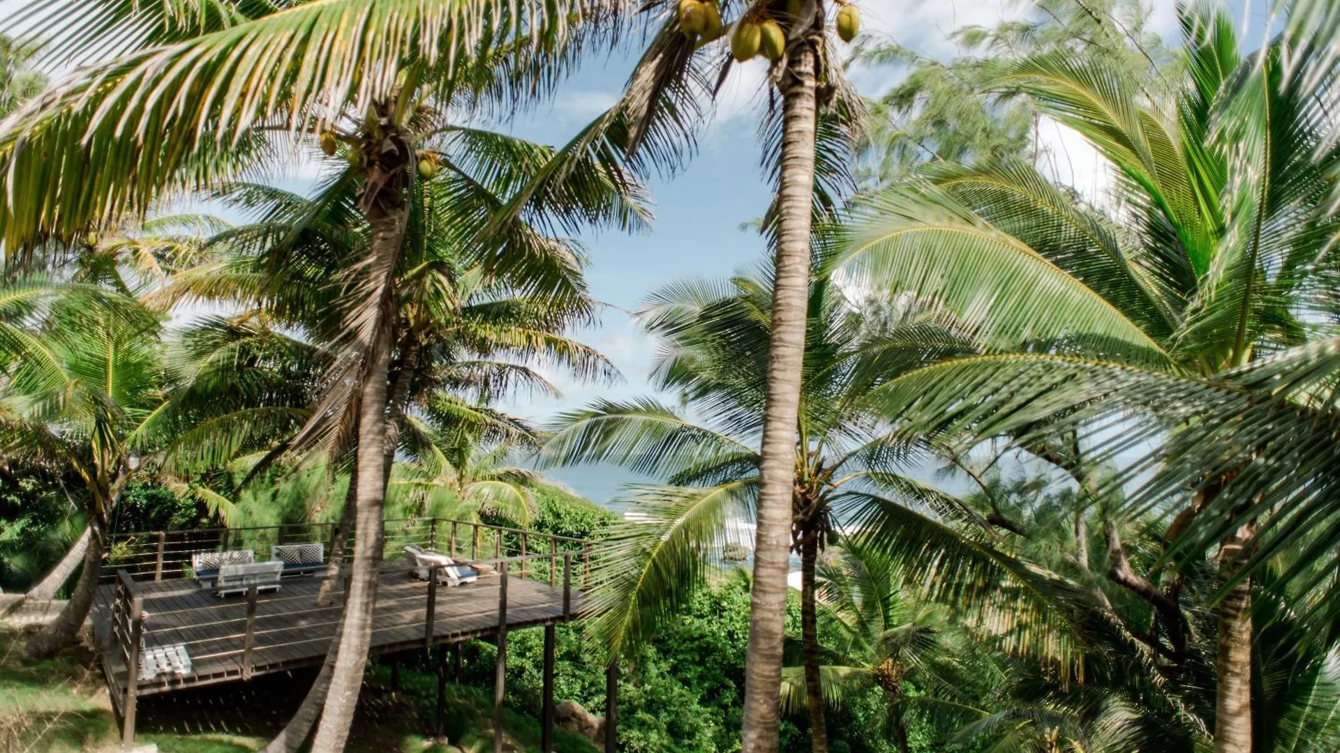 ホテル Eco Lifestyle And Lodge Bathsheba